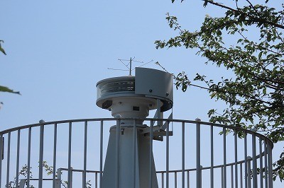 IMG_0380
