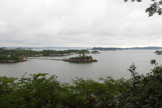 DSCN3487