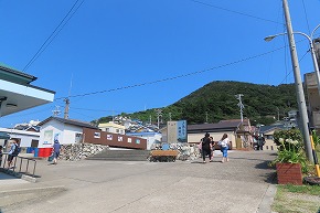 IMG_0981
