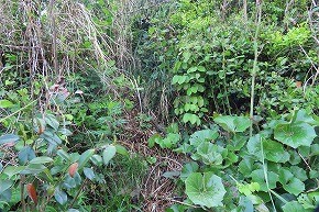 IMG_9046