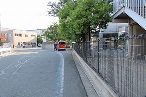 IMG_0208