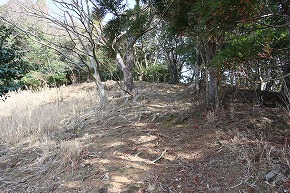 IMG_6077