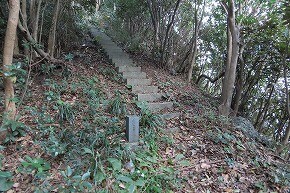 IMG_9422