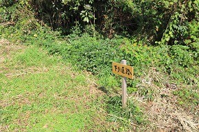 IMG_9106