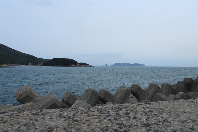 DSCN2238