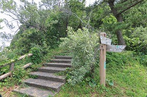 IMG_0508