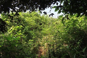 IMG_0627
