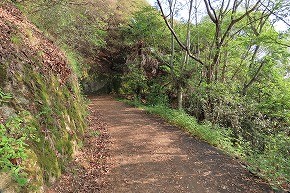 IMG_0290