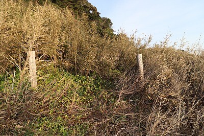IMG_8628