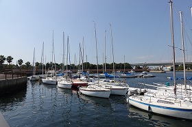 DSC04153
