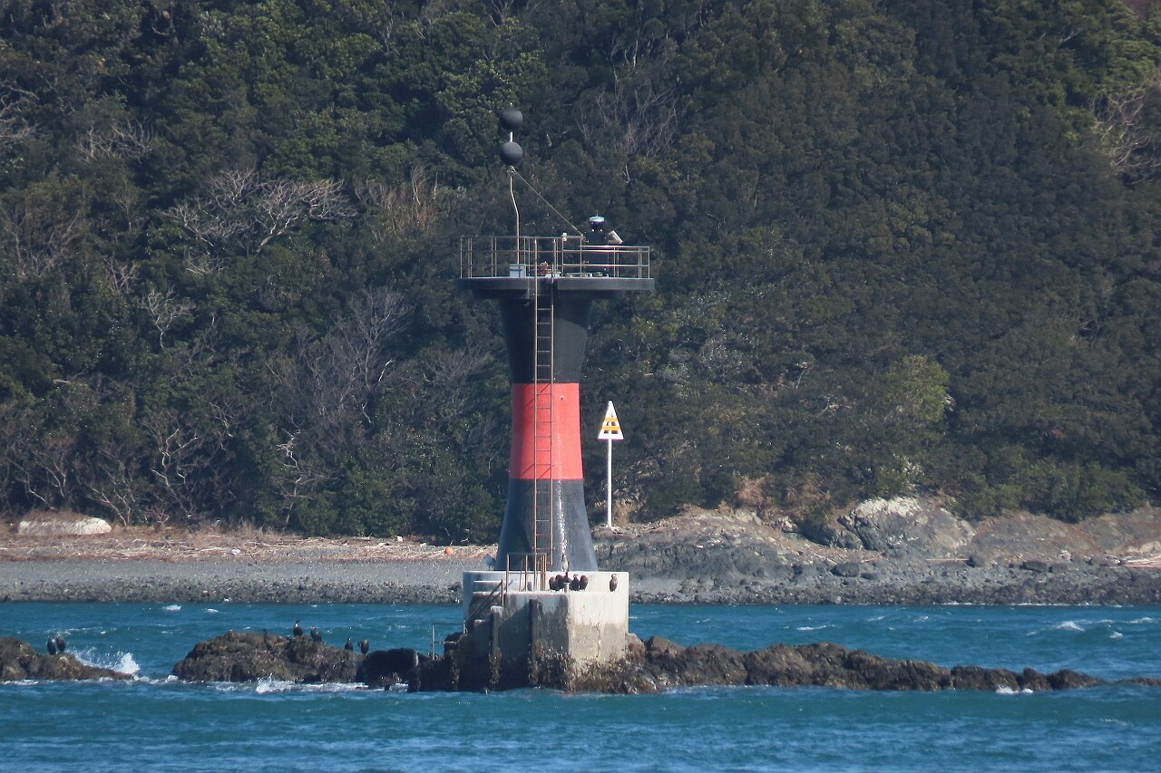 WS 「夏葬灯」 敢闘賞 PR プロモ サイン 台紙付き WS 「夏葬灯」 敢闘賞 PR プロモ サイン 台紙付き