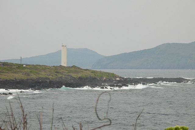 DSCN8654