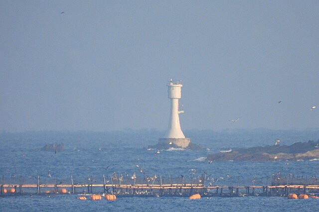 DSCN6171