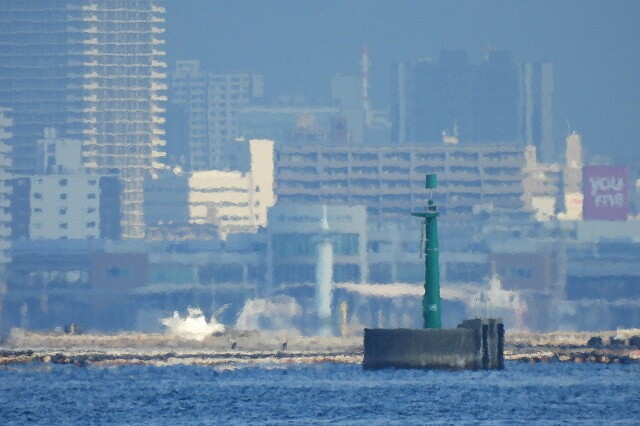DSCN0765