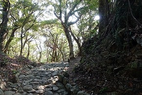 dsc09842_2