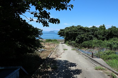 IMG_0221