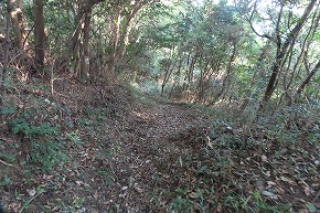 IMG_9254