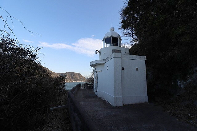IMG_5341 (1)