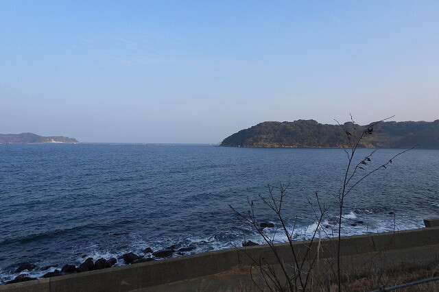 DSCN6176