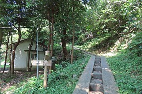 IMG_0993