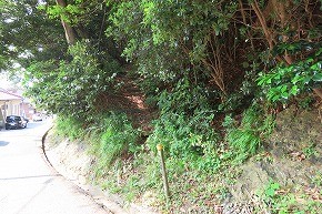 IMG_0621