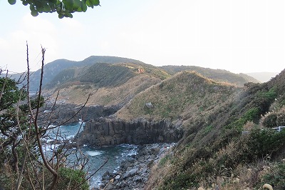 IMG_9220
