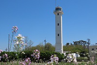 IMG_9464