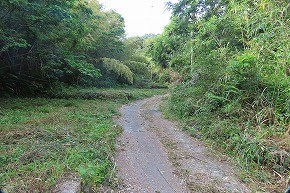 IMG_9881