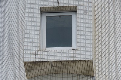 IMG_0556
