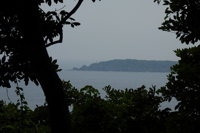 DSCN3536