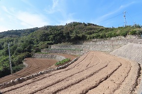 IMG_9343