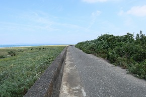 IMG_7921