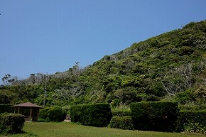 dscf4650