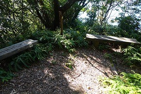 DSC00874