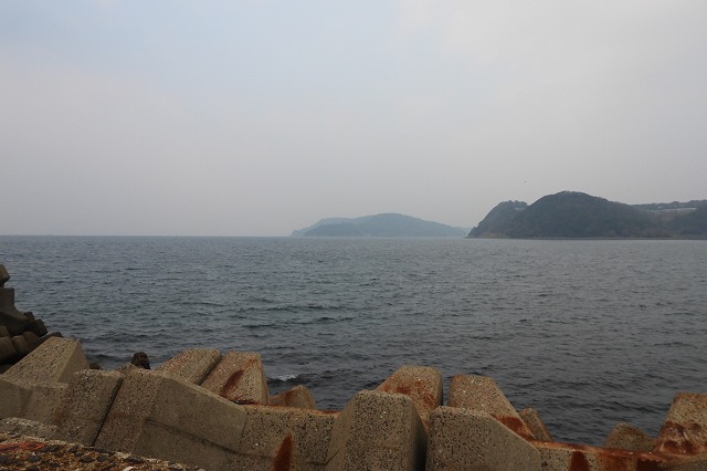 DSCN6138