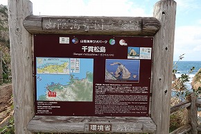 IMG_0921