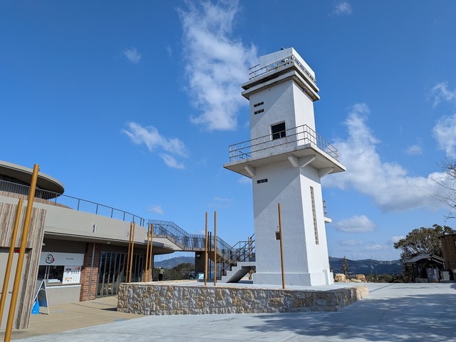 PXL_20260209_014643900