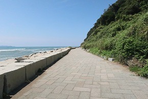 IMG_7928