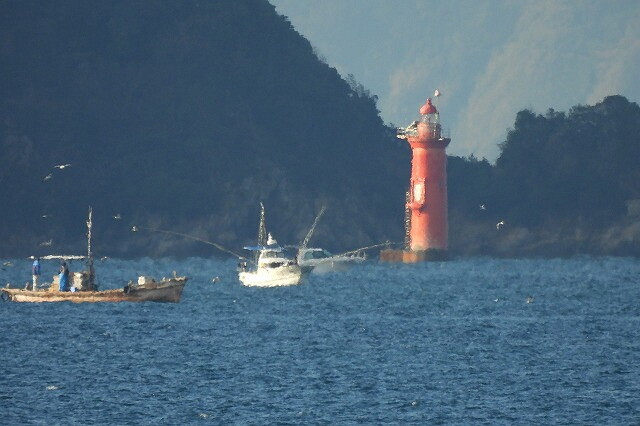 DSCN0417
