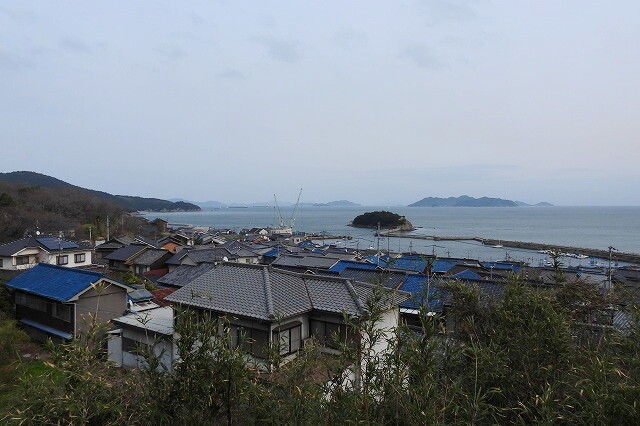 DSCN2234