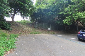 IMG_9980