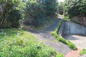 IMG_9252