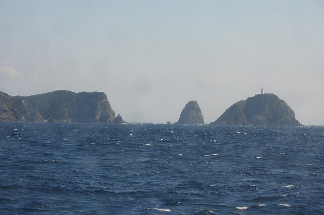 DSCN5563