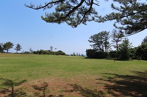 IMG_9098
