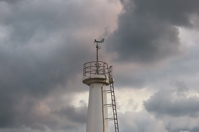 IMG_9528
