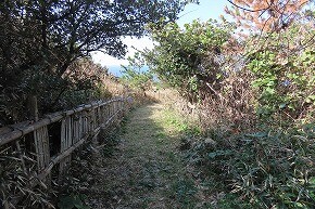 IMG_9352