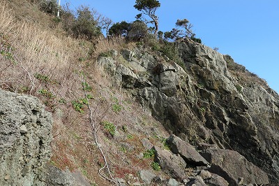 IMG_6032
