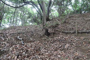 IMG_0577
