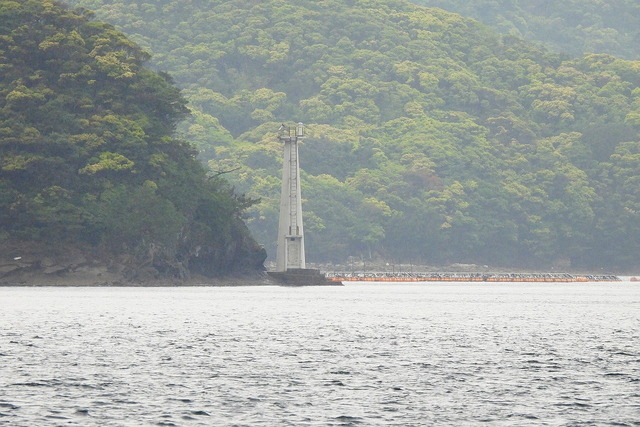 DSCN6709