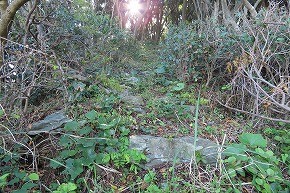 IMG_9048